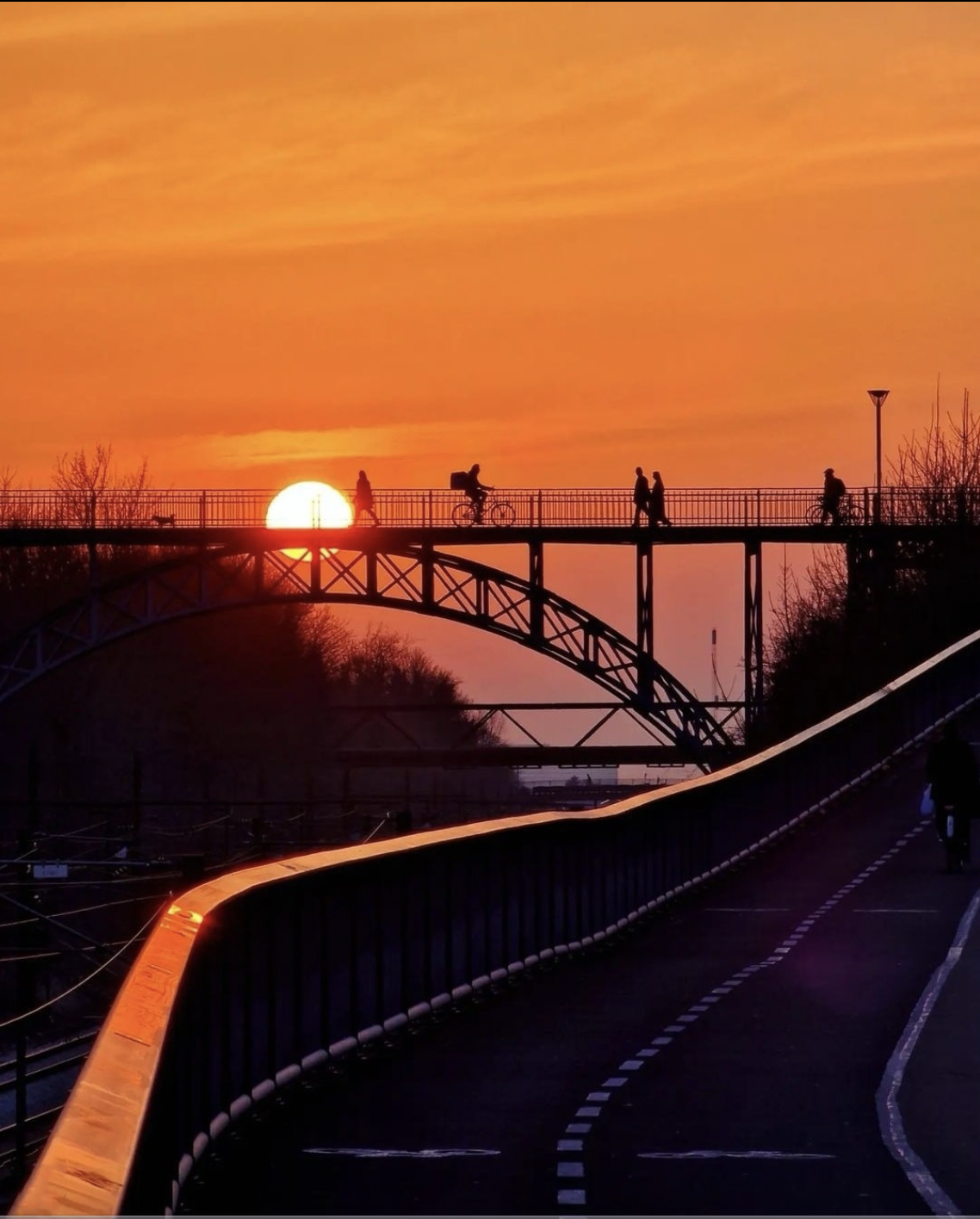 Carlsbergbroen bridge