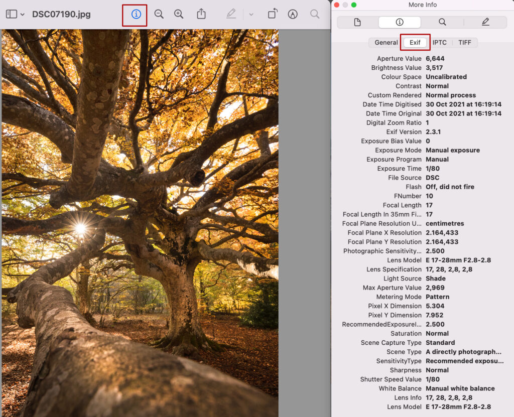 This image has an empty alt attribute; its file name is exif-1024x831.jpg